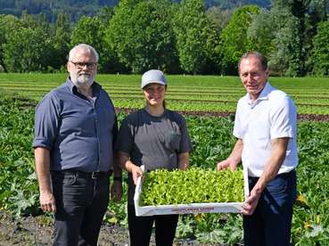 Gemüse aus Vorarlberg überzeugt mit regionaler Qualität ©LK VBg. (Mittel).jpg © LK Vbg Gemüse aus Vorarlberg überzeugt mit regionaler Qualität ©LK VBg. (Mittel).jpg © LK Vbg