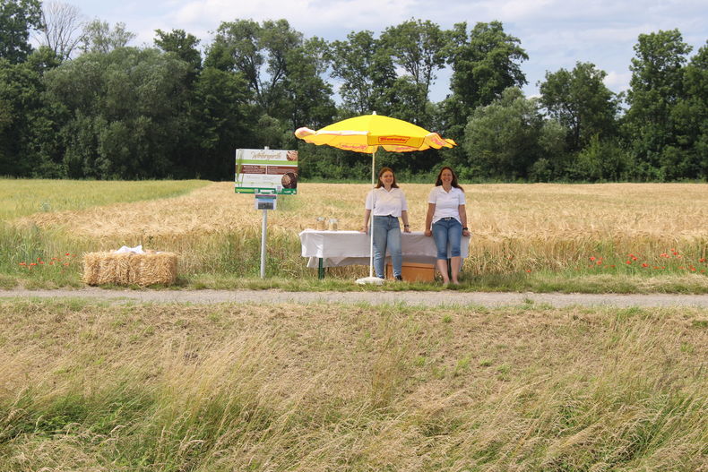 AckerkulTOUR 09062024 (17).jpg