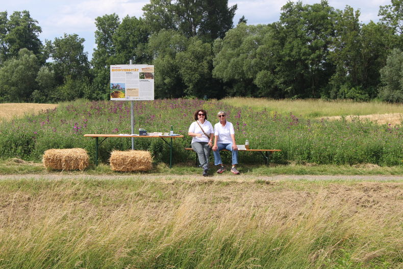 AckerkulTOUR 09062024 (18).jpg