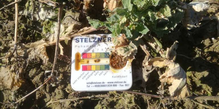 Schnelltest_pH-Wert.jpg © BWSB/Wallner Schnelltest_pH-Wert.jpg © BWSB/Wallner