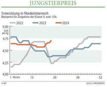 Grafik Stierpreis 24_2024.jpg © LK NÖ