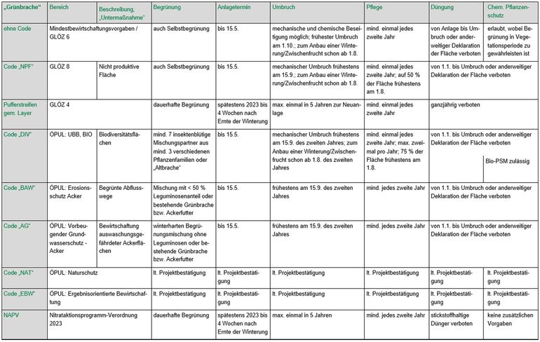 Tabelle Grünbrache-Varianten.jpg