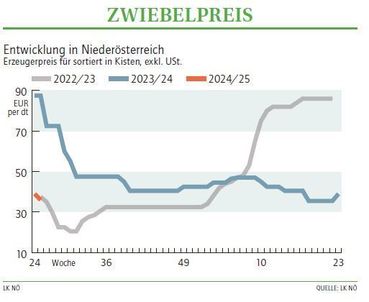 Grafik Zwiebelpreis 25_2024.jpg © LK NÖ