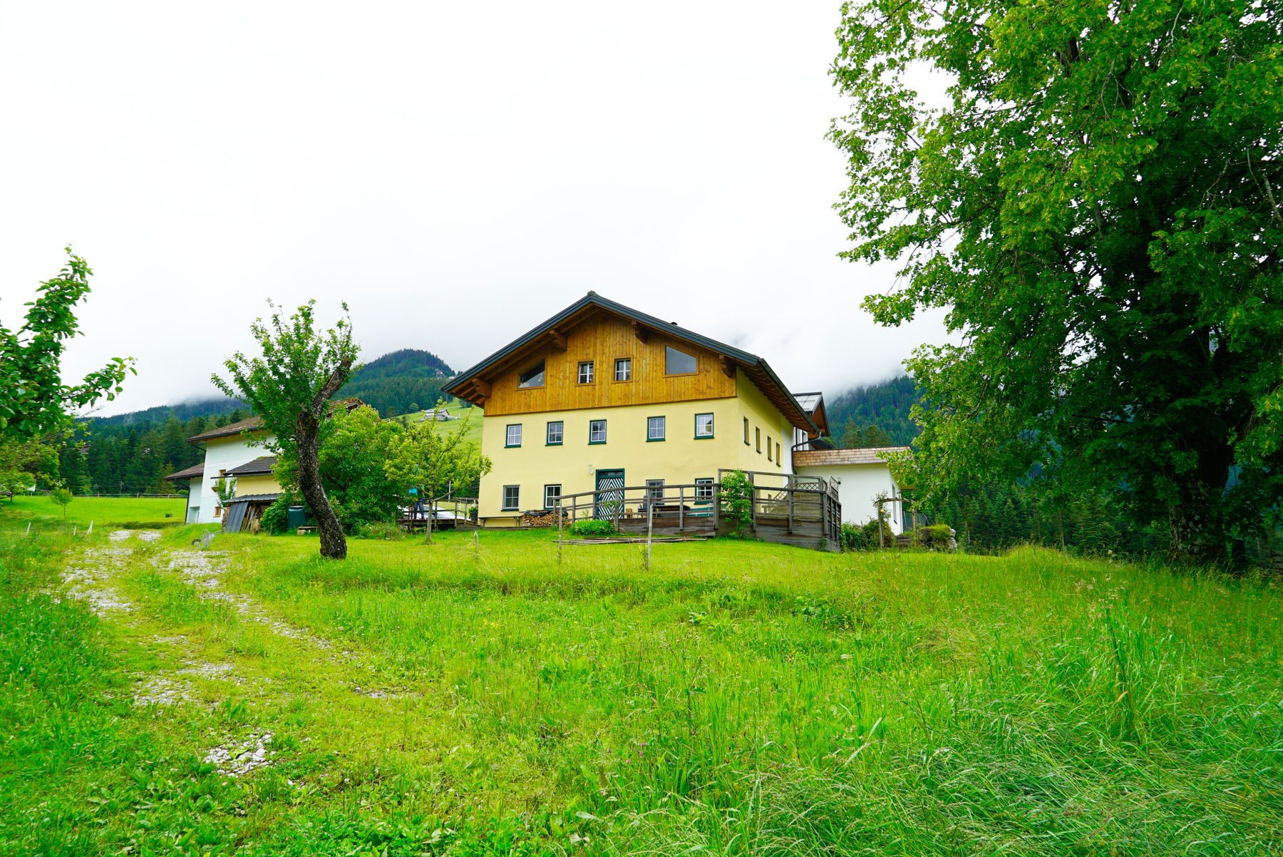 Untermoas in Abtenau: Landwirtschaft wieder zum Le.jpg