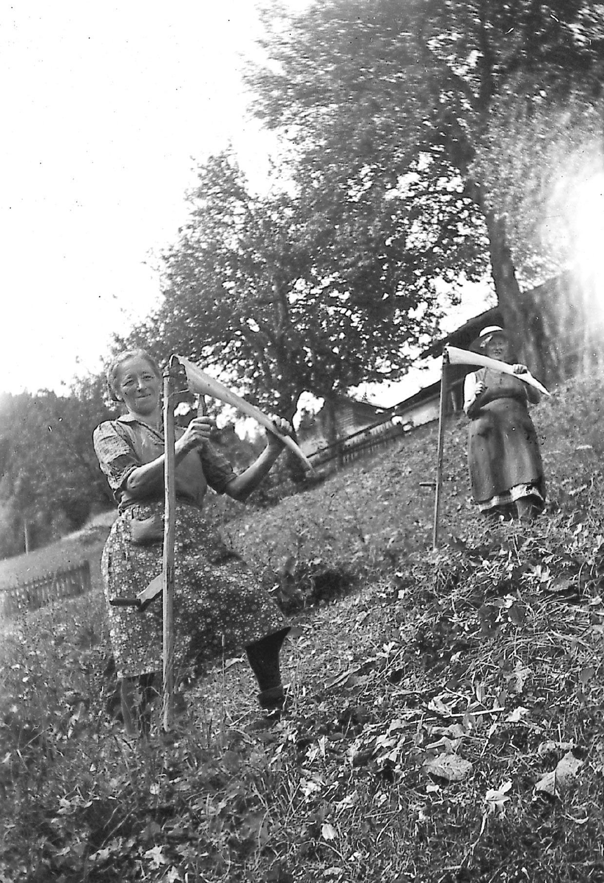 Bergmahd.jpg © Archiv Bergmahd.jpg © Archiv