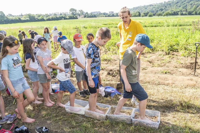 Bauernhoferlebnistage Steiermark 2024.jpg