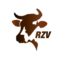 Logo RZV Vöcklabruck.png