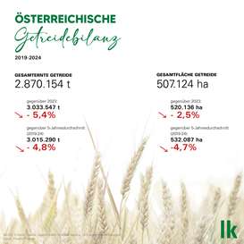 Österreichische Getreidebilanz 2024