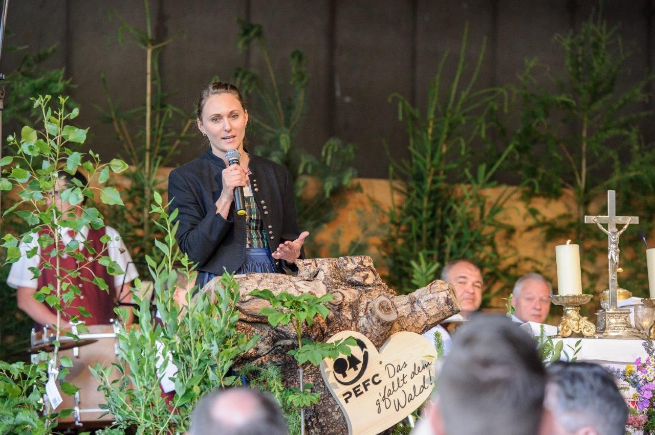 © Gerald Pfabigan © Gerald Pfabigan