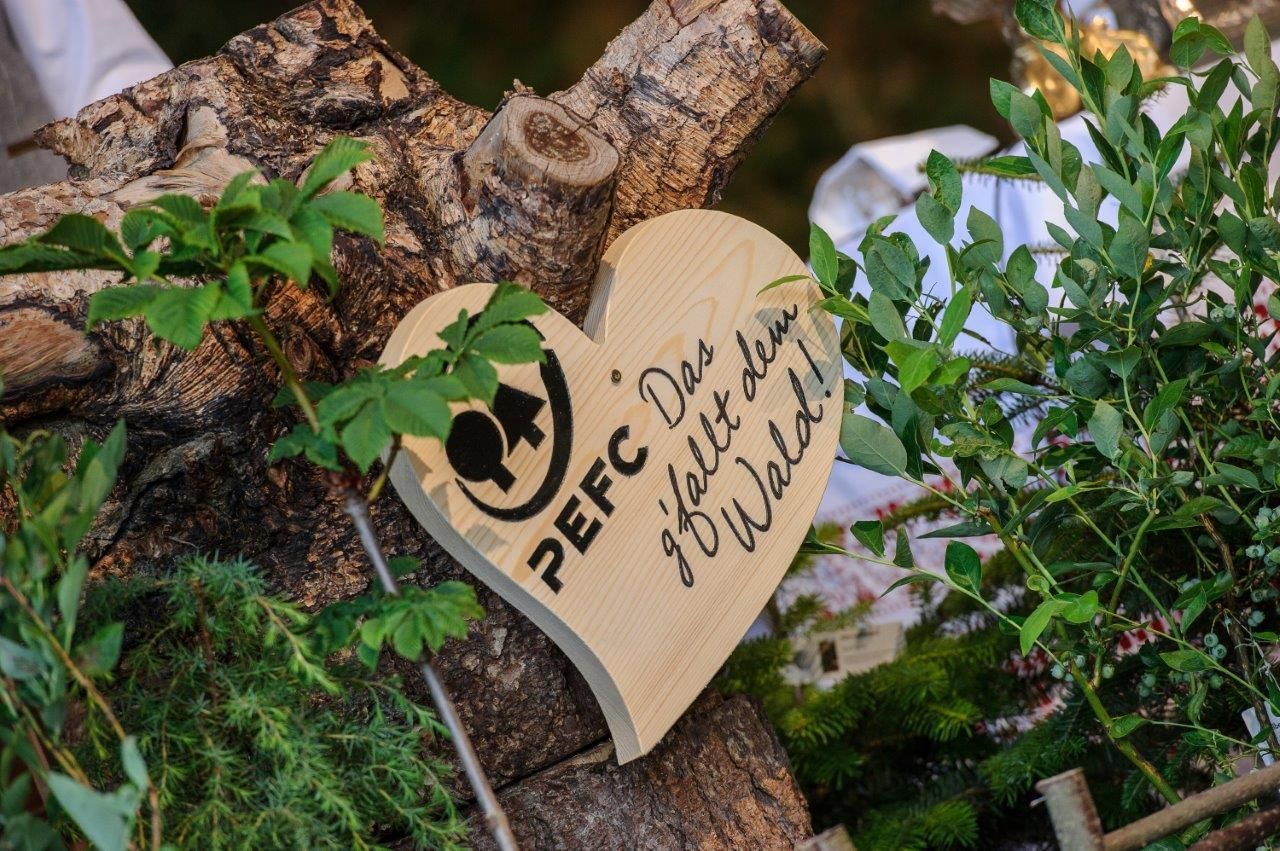 © Gerald Pfabigan © Gerald Pfabigan