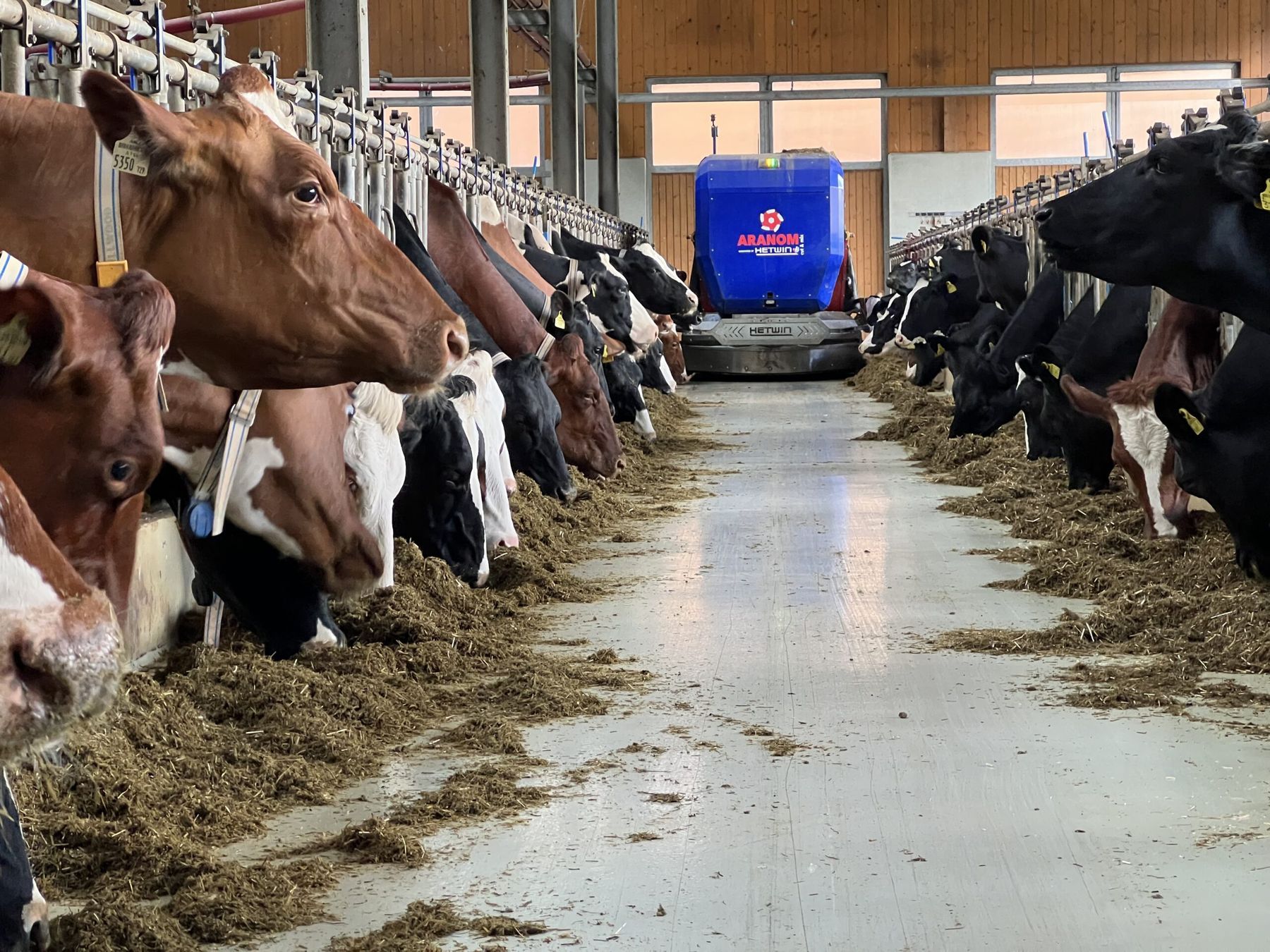 Fütterungsroboter © Hetwin Fütterungsroboter © Hetwin