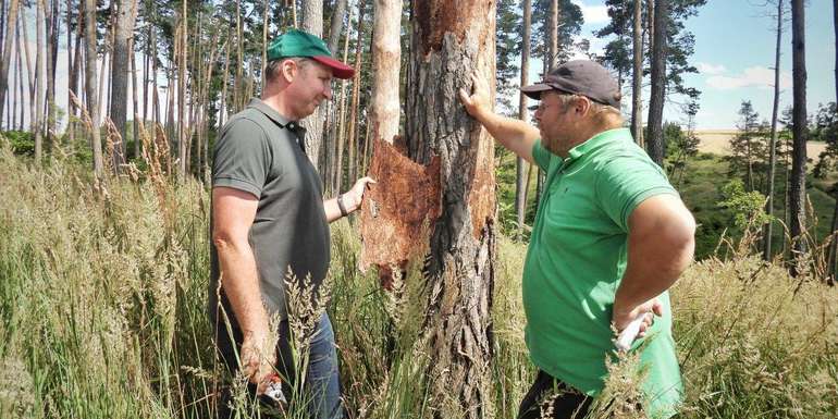 Beratung_Forst.jpg © Susanna Teufl/LK Niederösterreich Beratung_Forst.jpg © Susanna Teufl/LK Niederösterreich