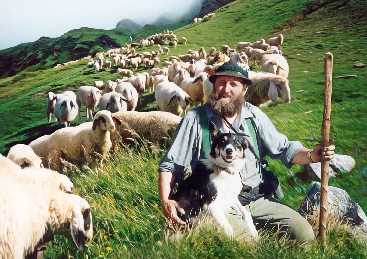 sb26_mb_schafe.jpg © Privat