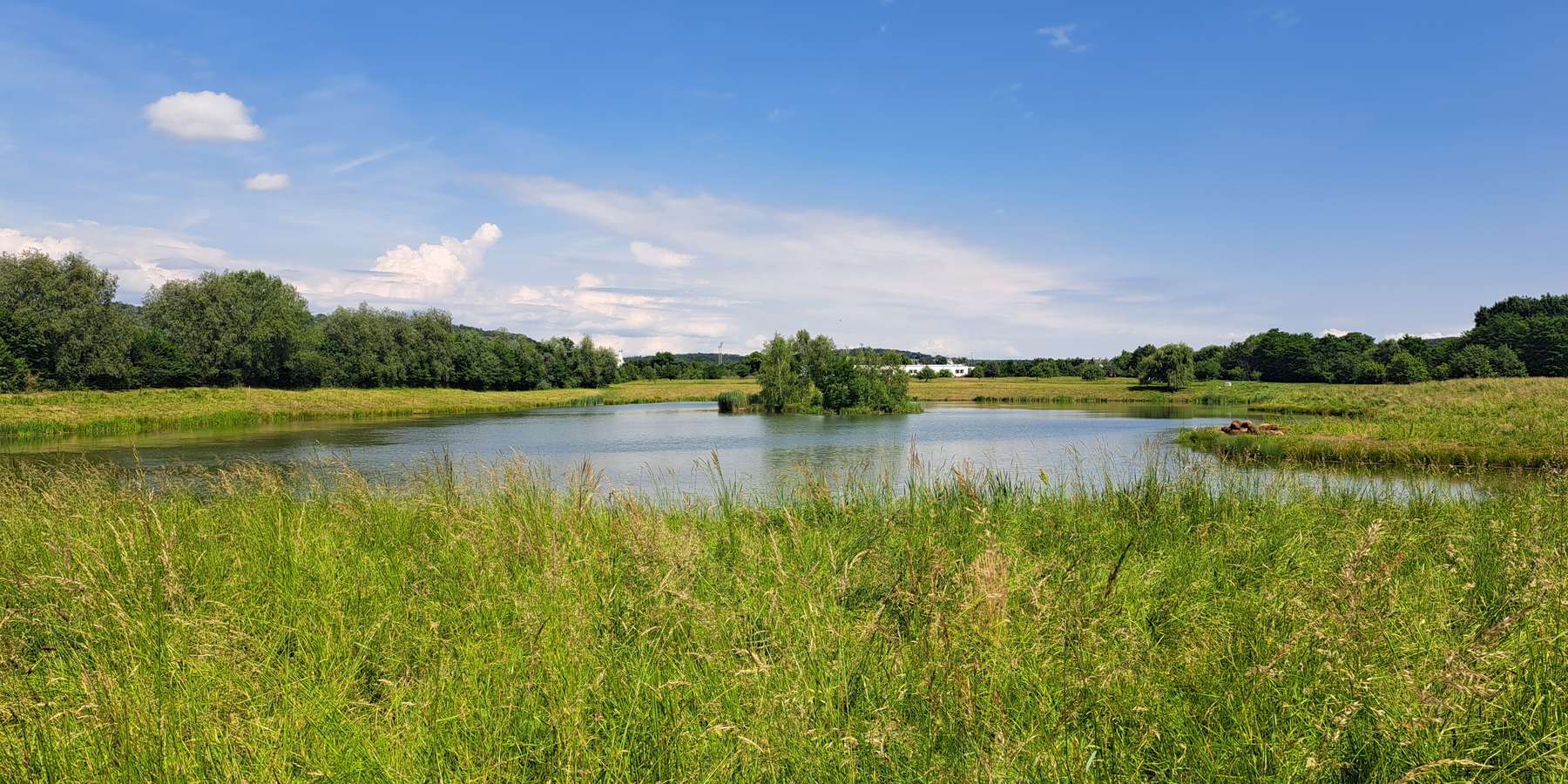 (c) Höller Rückhaltebecken Stoob (Beweidung).jpg © Höller/LK Burgenland (c) Höller Rückhaltebecken Stoob (Beweidung).jpg © Höller/LK Burgenland