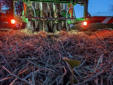 Repo 27_28_Betrieb Deyerling_Bild3_Pflanzmaschine Gemüse unter Mulch_Quelle_Deyerling.jpg © LK OÖ/Ottensamer