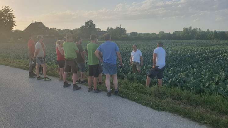 Feldbegehung - Nmin Untersuchung im Gemüsebau, 19. Juni 2024