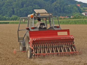 Welche Sätechnik man wählt, ein rascher Feldaufgang muss das Ziel sein.jpg © DI Wolfgang Kober, Bio Zentrum Steiermark Welche Sätechnik man wählt, ein rascher Feldaufgang muss das Ziel sein.jpg © DI Wolfgang Kober, Bio Zentrum Steiermark