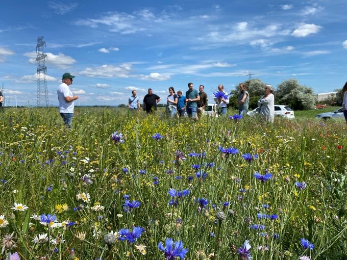 Biodiversität am Acker Teil 2a Bild 1.jpg