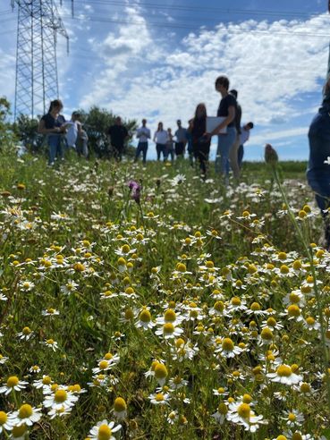 Biodiversität am Acker Teil 2a Bild 4.jpg © DI Claudia Winkovitsch Biodiversität am Acker Teil 2a Bild 4.jpg © DI Claudia Winkovitsch
