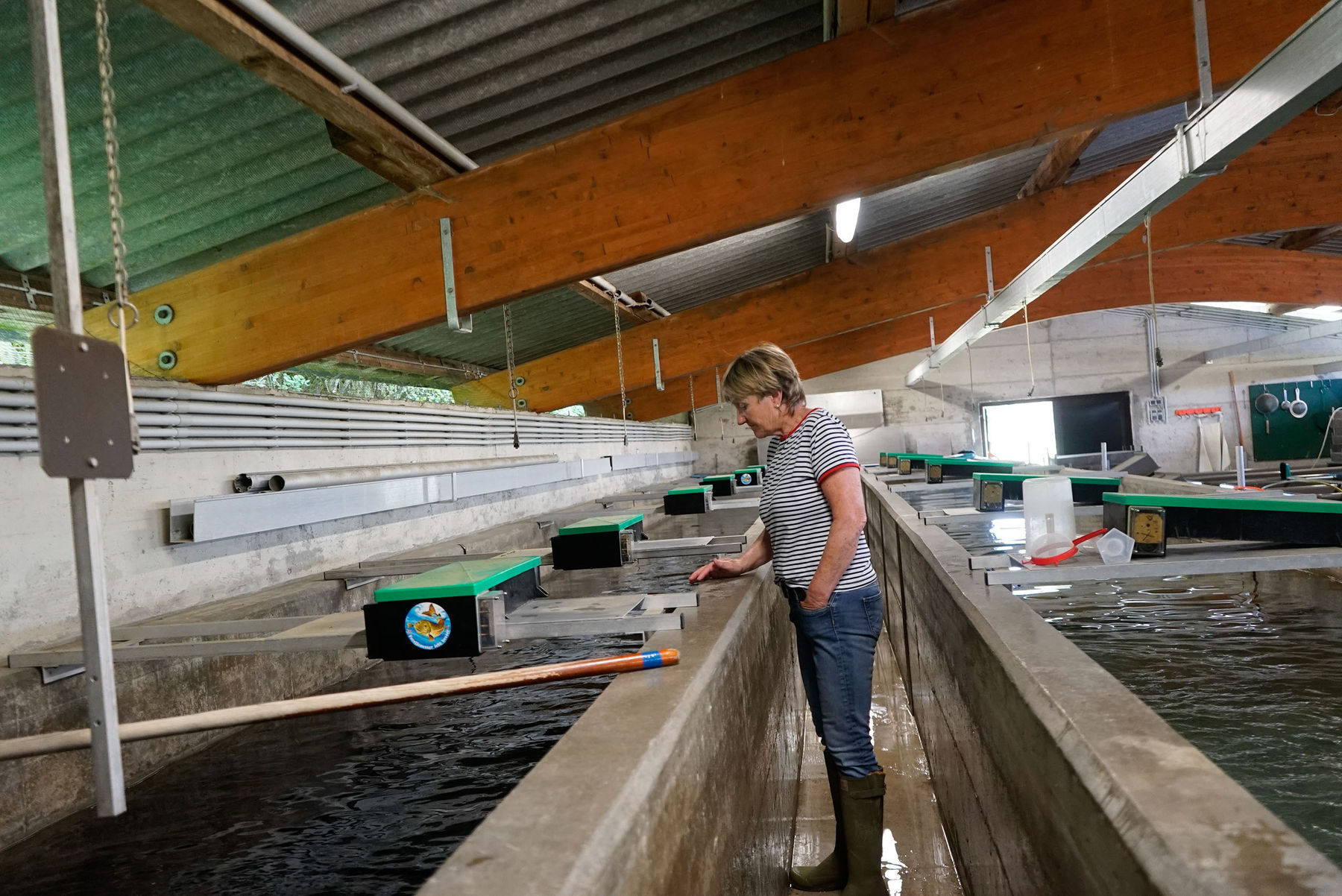 Forellenzucht in reinstem Quellwasser: Fischzucht Ebner in Helfpau/Uttendorf.jpg © Michael Hatheier Forellenzucht in reinstem Quellwasser: Fischzucht Ebner in Helfpau/Uttendorf.jpg © Michael Hatheier