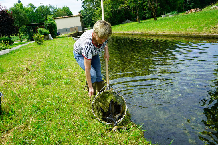 Forellenzucht in reinstem Quellwasser: Fischzucht Ebner in Helfpau/Uttendorf.jpg