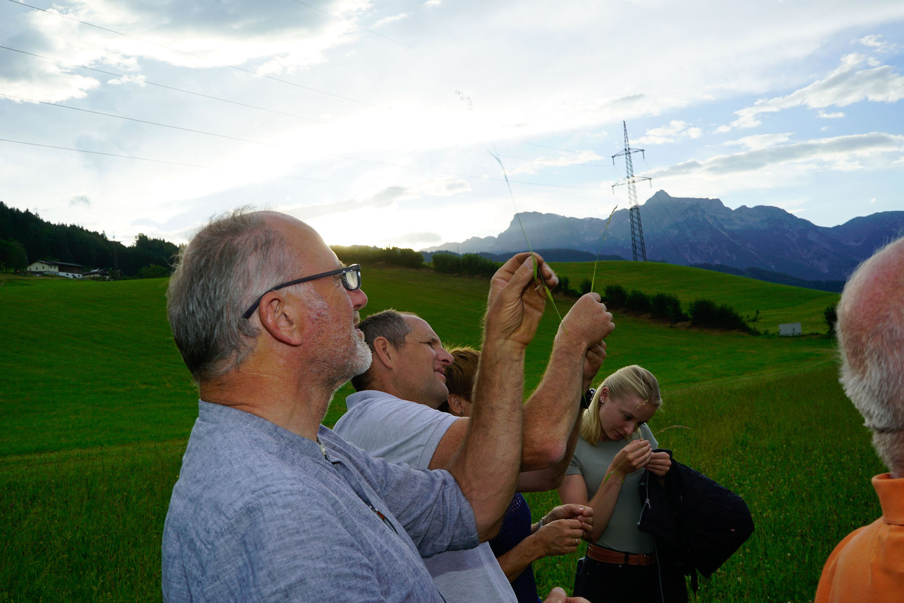Vitale  Bestände trotzen Stresssituationen  .jpg © Michael Hatheier Vitale  Bestände trotzen Stresssituationen  .jpg © Michael Hatheier