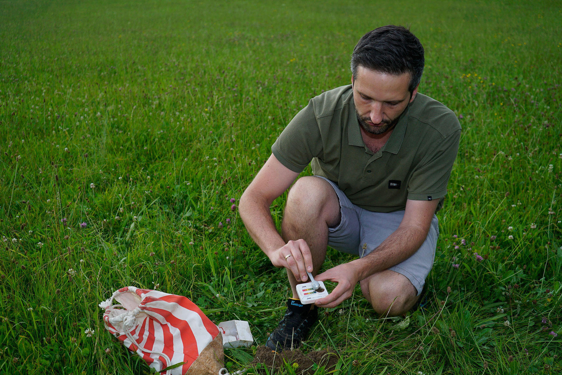 Vitale  Bestände trotzen Stresssituationen  .jpg © Michael Hatheier Vitale  Bestände trotzen Stresssituationen  .jpg © Michael Hatheier