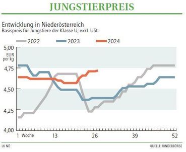 Grafik Stierpreis 27_2024.jpg © LK NÖ