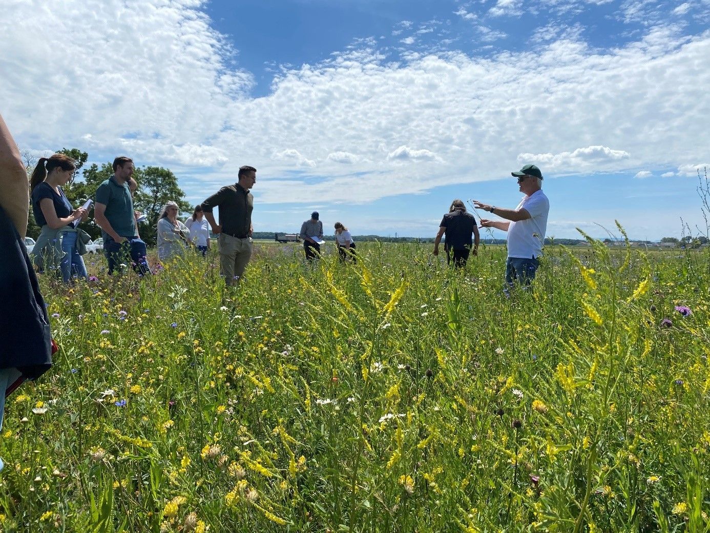 Biodiversität am Acker Teil 2b_Bild 1.jpg © DI Claudia Winkovitsch Biodiversität am Acker Teil 2b_Bild 1.jpg © DI Claudia Winkovitsch