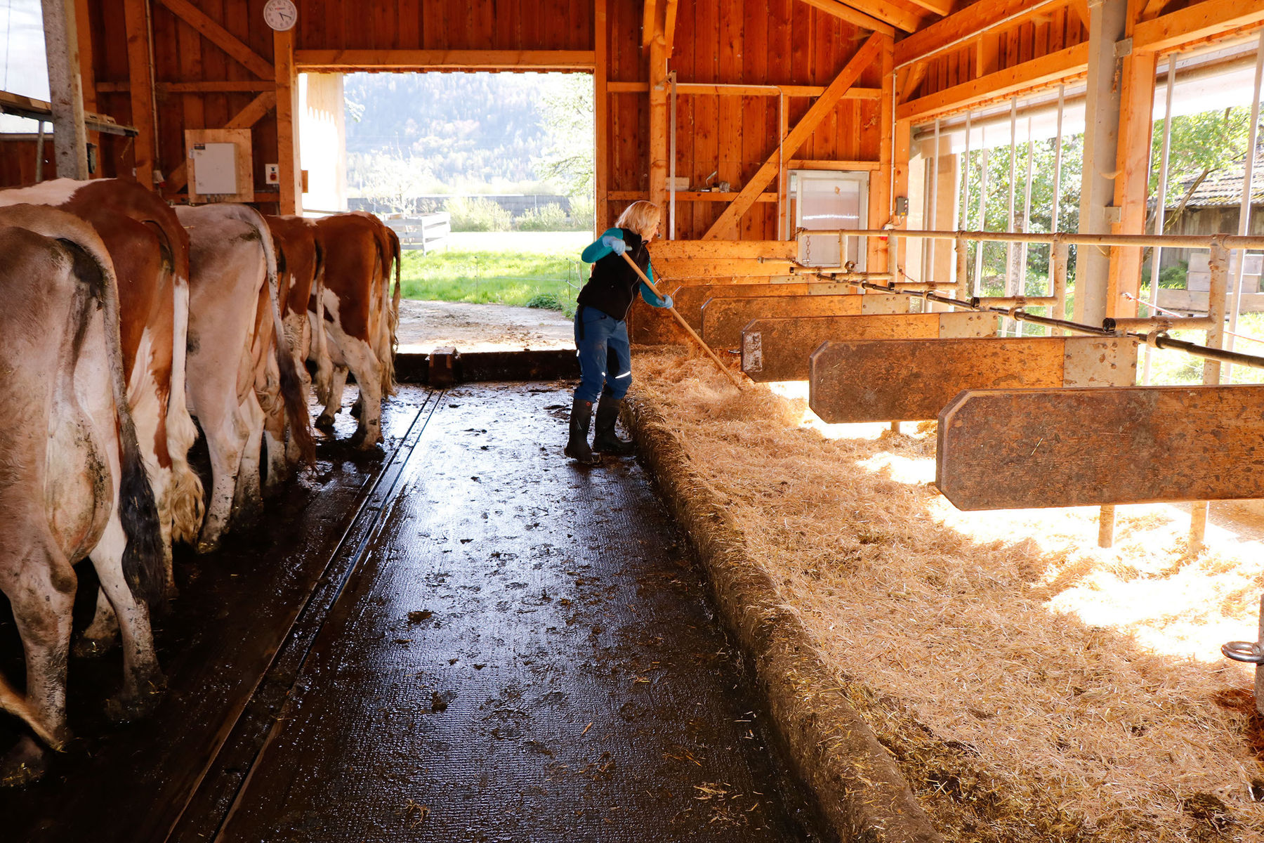 Was ändert das neue TAMG für  die Landwirte?.jpg © Kronreif Was ändert das neue TAMG für  die Landwirte?.jpg © Kronreif