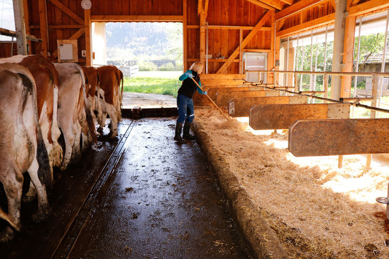 Was ändert das neue TAMG für die Landwirte?.jpg © Kronreif Was ändert das neue TAMG für die Landwirte?.jpg © Kronreif