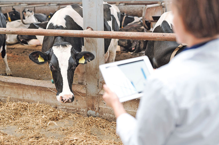 Was ändert das neue TAMG für die Landwirte?.jpg © dobeStock/pressmaster Was ändert das neue TAMG für die Landwirte?.jpg © dobeStock/pressmaster