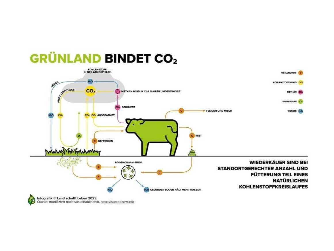 Das Grünland ist ein wichtiger Kohlenstoffspeicher.jpg © Infografik Land schafft Leben 2023 Das Grünland ist ein wichtiger Kohlenstoffspeicher.jpg © Infografik Land schafft Leben 2023
