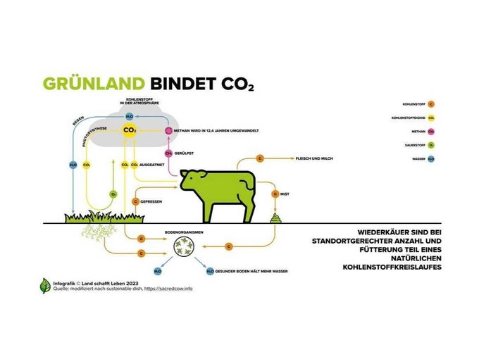 Das Grünland ist ein wichtiger Kohlenstoffspeicher.jpg © Infografik Land schafft Leben 2023