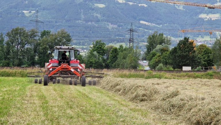 2024: Heuen unter schwierigen Wetterbedingungen © Archiv