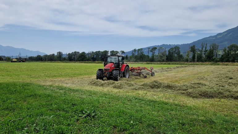 2024: Heuen unter schwierigen Wetterbedingungen © Archiv