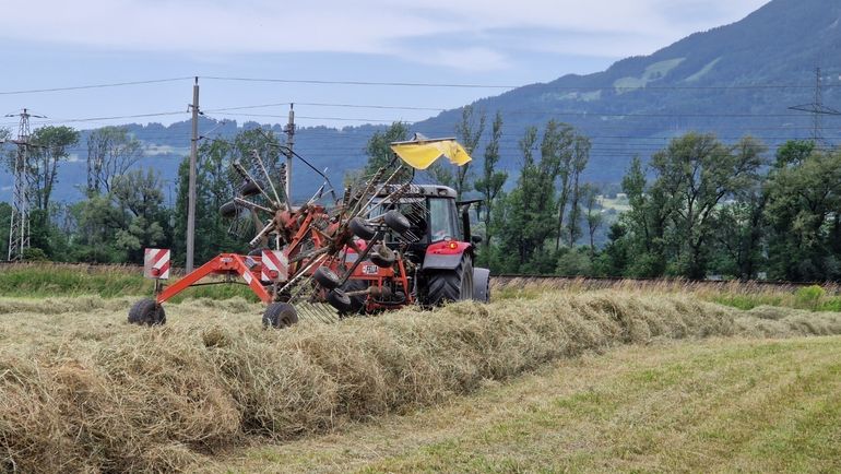 2024: Heuen unter schwierigen Wetterbedingungen © Archiv