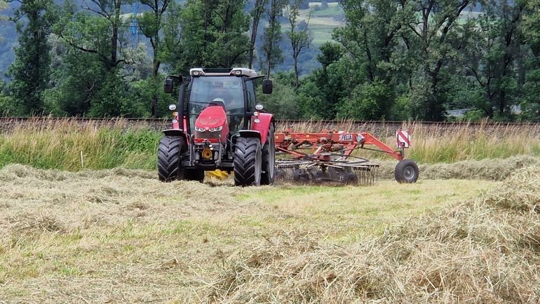 2024: Heuen unter schwierigen Wetterbedingungen © Archiv