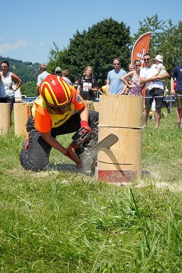 Kerbschnitt.jpg © FAST Ossiach Kerbschnitt.jpg © FAST Ossiach