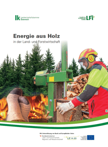 Cover Energie aus Holz.gif © Archiv
