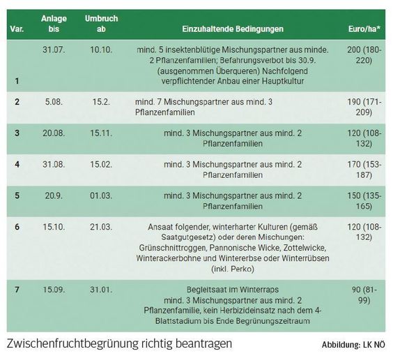 Zwischenfruchtbegrünung.jpg