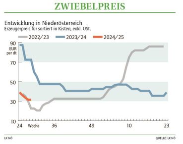 Grafik Zwiebelpreis 28 2024.jpg