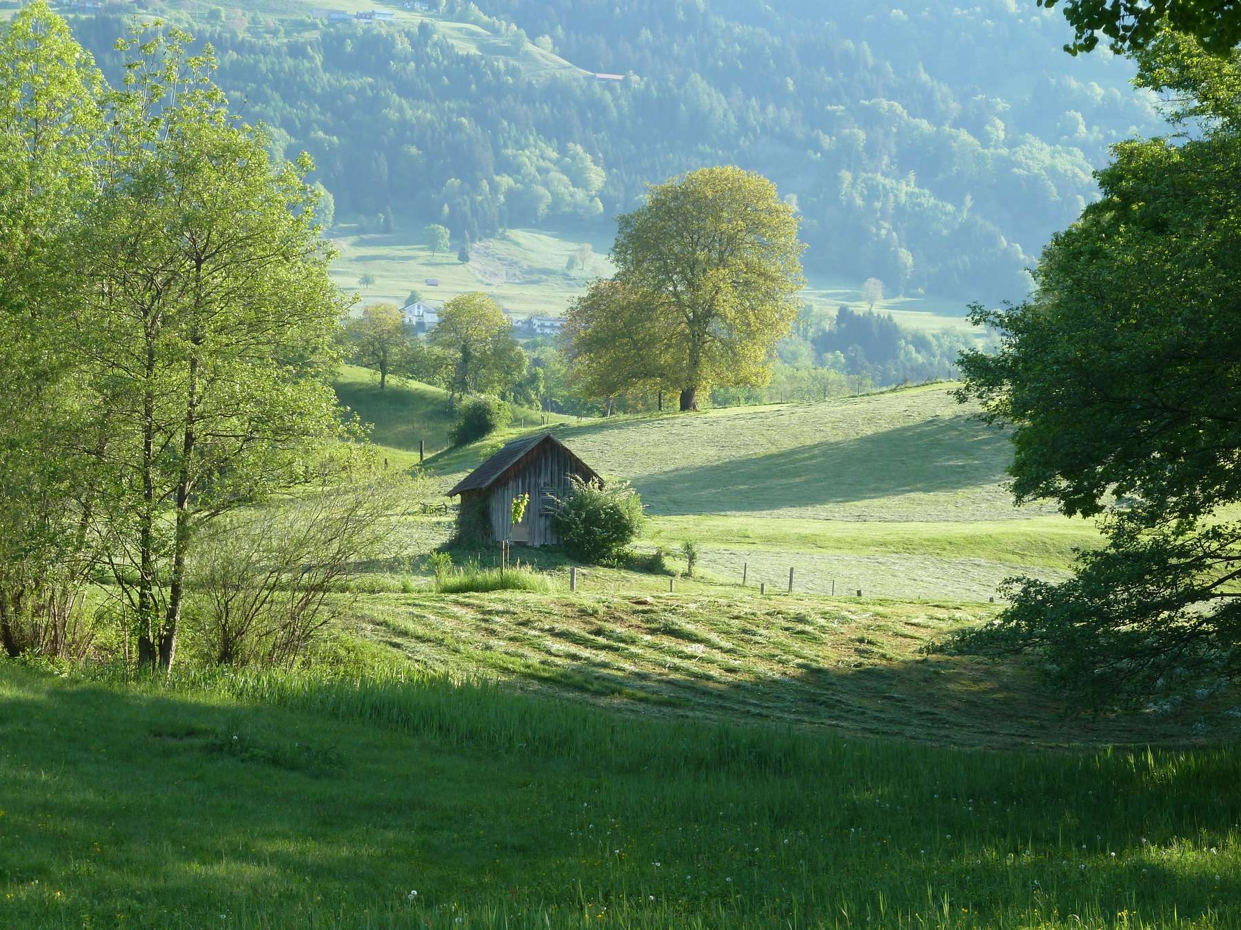 © LK Vbg.