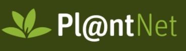 Plantnet.jpg © Pl@ntNet Plantnet.jpg © Pl@ntNet