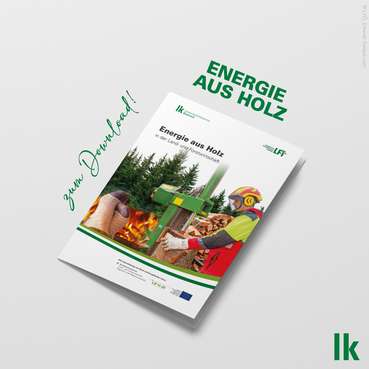 Broschüre Energie aus Holz.jpg © Erhardt/LKÖ und LFI