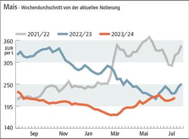 Grafik Maispreis 29_2024.jpg © Archiv