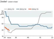 Grafik Zwiebelpreis 29 2024.jpg