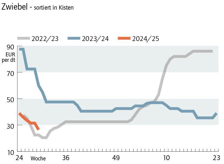 Grafik Zwiebelpreis 29 2024.jpg