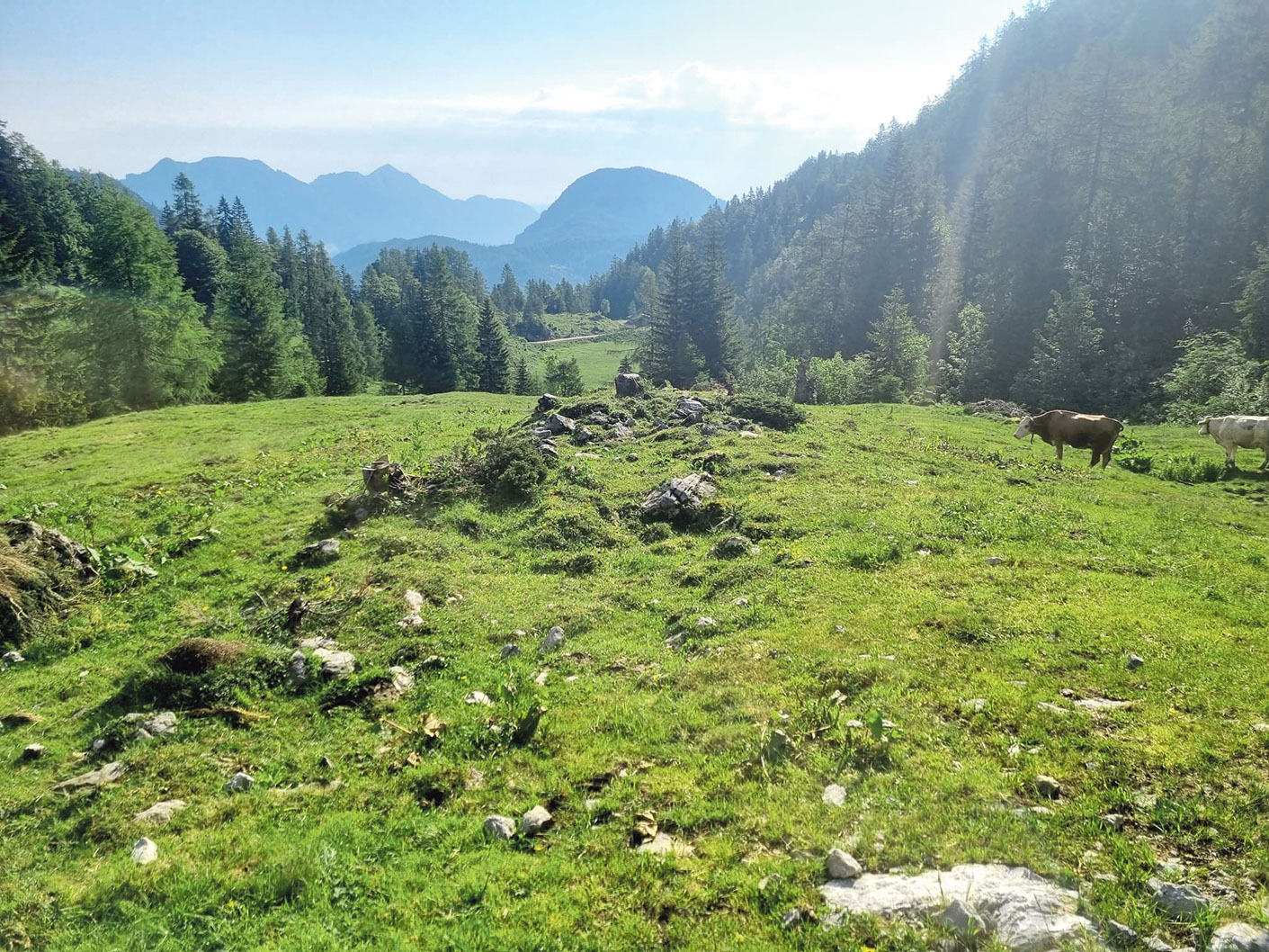 Aussicht.jpg © Mooslechner Aussicht.jpg © Mooslechner