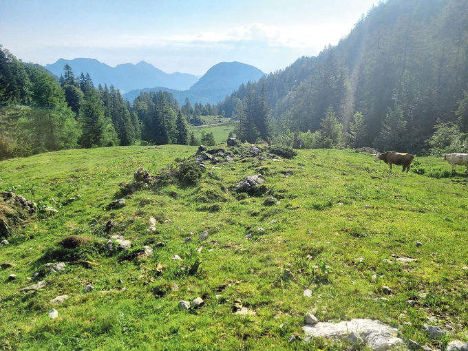 Aussicht.jpg © Mooslechner Aussicht.jpg © Mooslechner